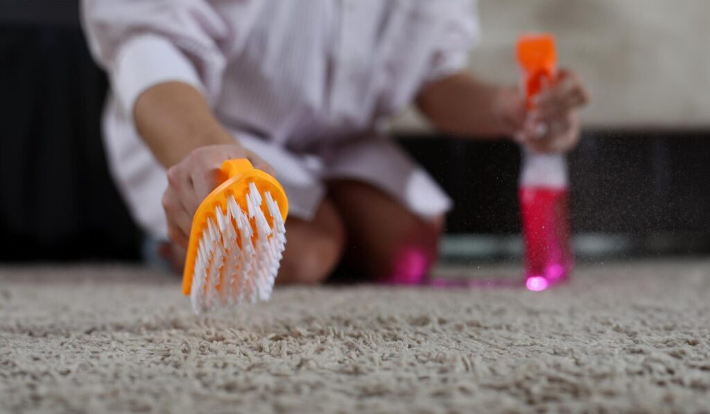 closeup female hand holding detergent pink spray brush cleaning carpet home 151013 53134 closeup female hand holding detergent pink spray brush cleaning carpet home 151013 53134